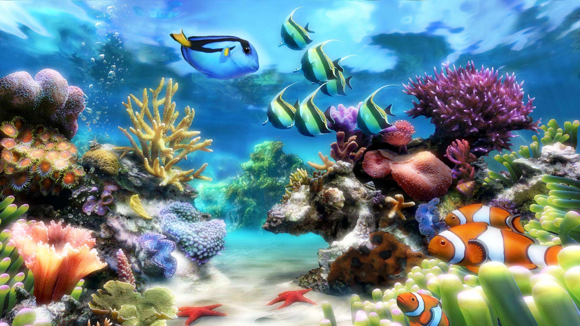 free aquarium downloads for tv